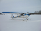 Fly-In Visitors